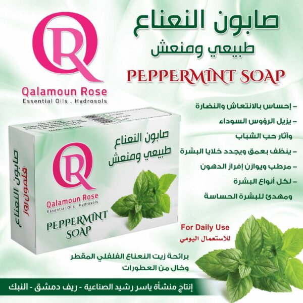 Peppermint Soap 2s