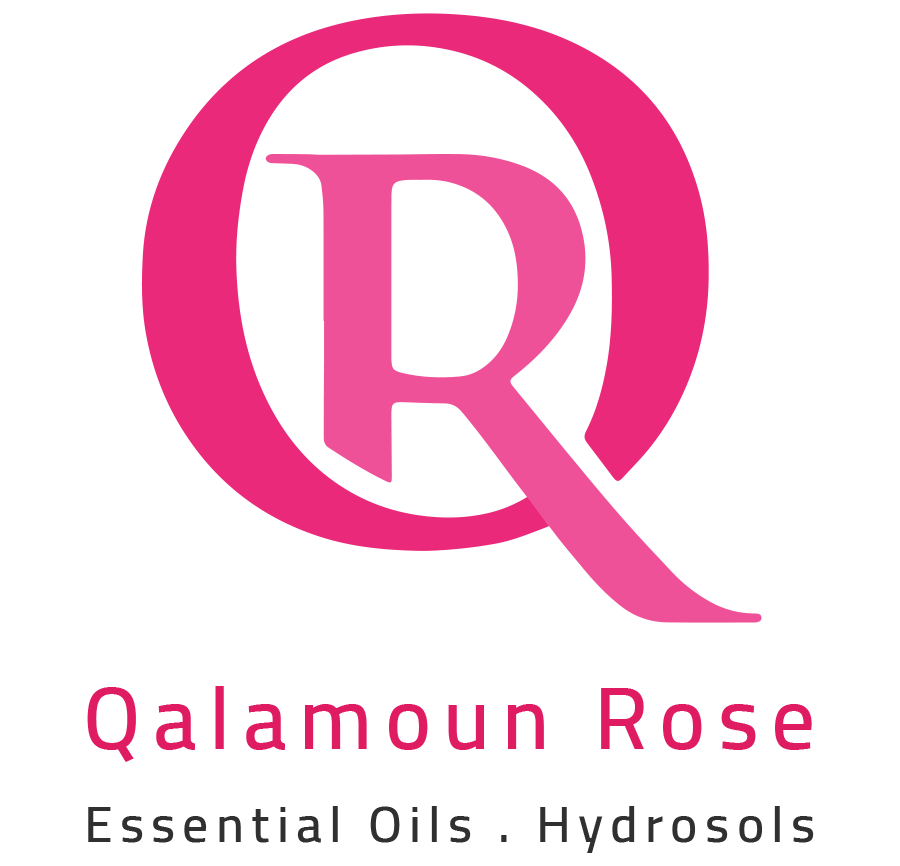 Qalamoun Rose